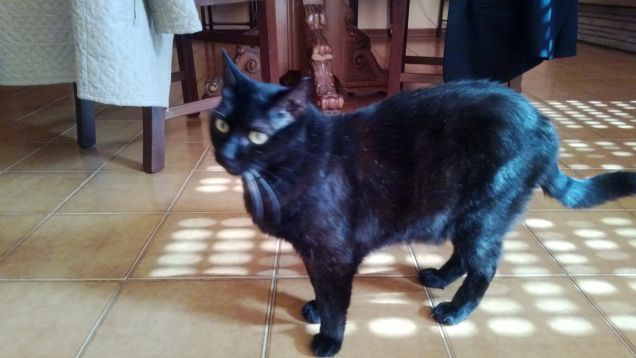 nerone