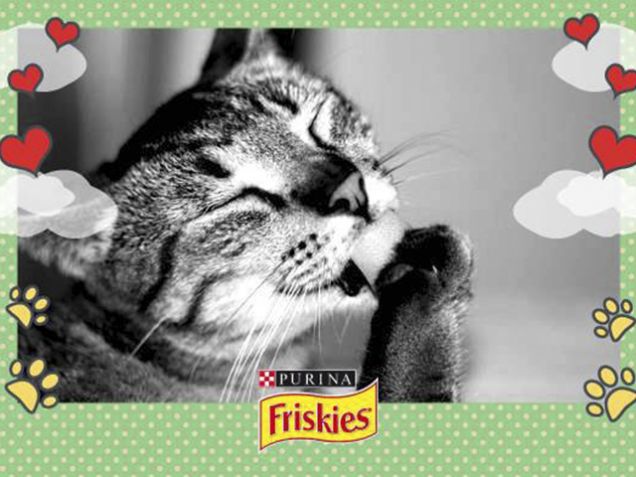 Tigro e la Toilette dei gommini!