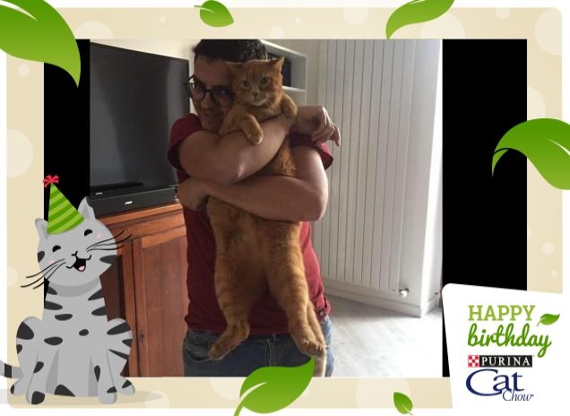 TALE PADRE TALE GATTO