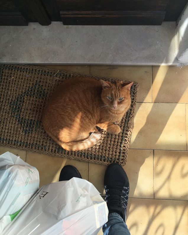 Quando ti aspetta a casa 