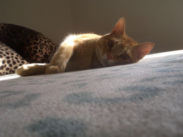 Diesel- relax moment