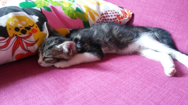 Questa vita mi distrugge