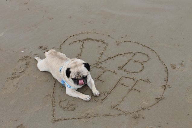 un estate a mare....