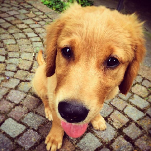 Eccoci arrivati a casa 