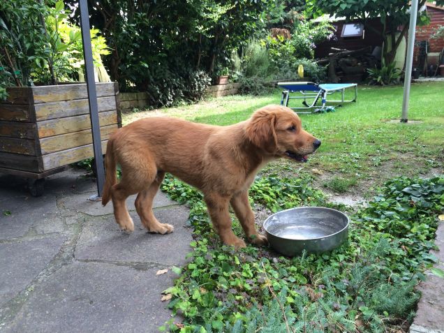 sorseggiando l' acquetta :)