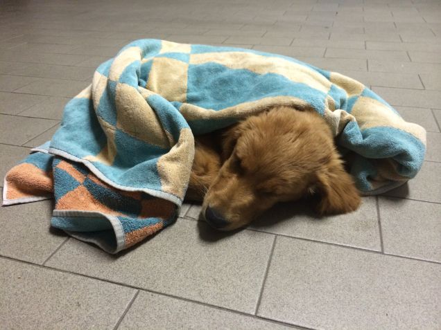 dormicchiando con la mia copertina 