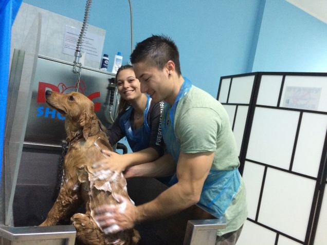 finalmente una lavatina!!!!!!!!! :) 