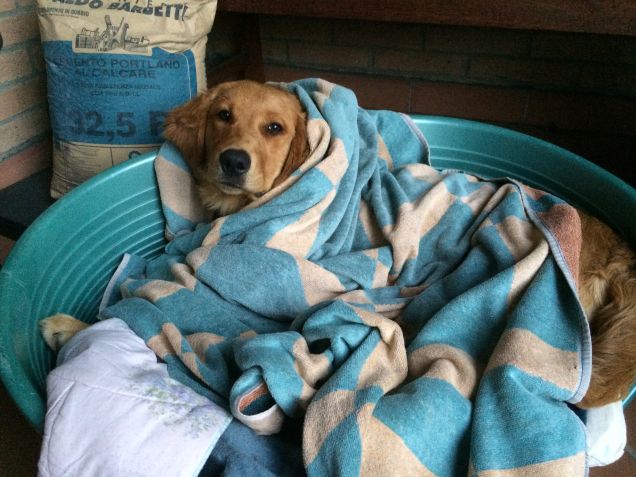 bimbo sotto le coperte!!