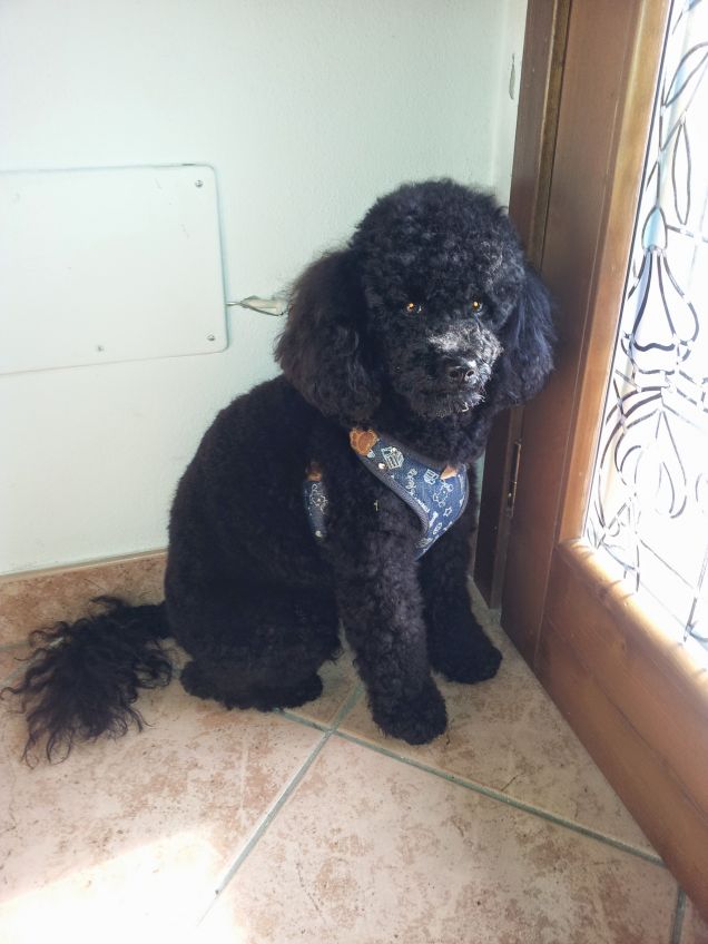 Voglio sempre uscire...