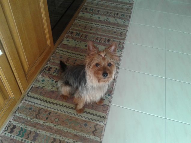 dopo un fresco bagno!