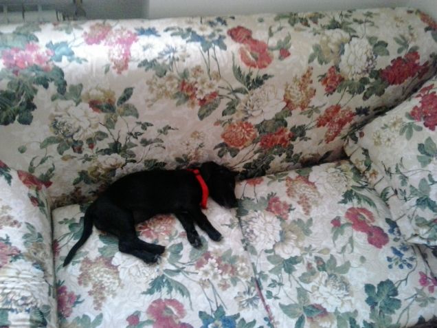 Mira ... mira el verdadero amor!