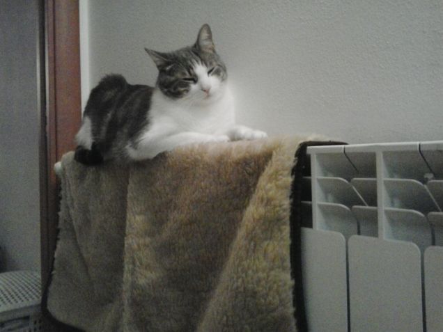 La prima febbre...e speriamo l'ultima.