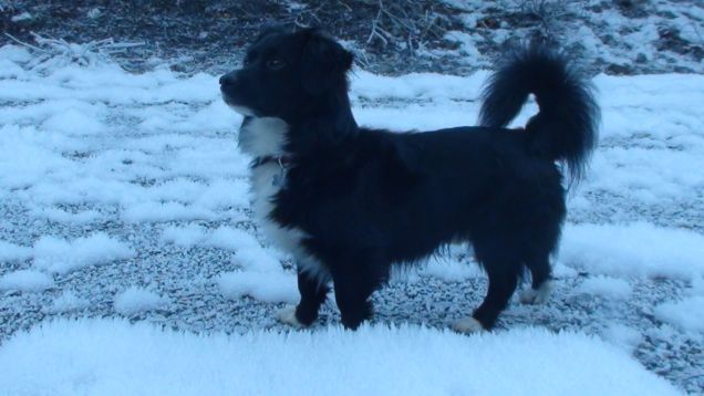 nel regno del ghiaccio