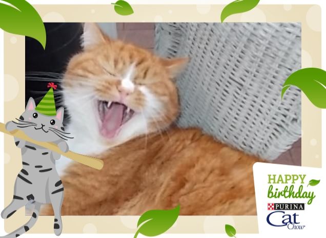 Happy birthday to youuuuuuuu