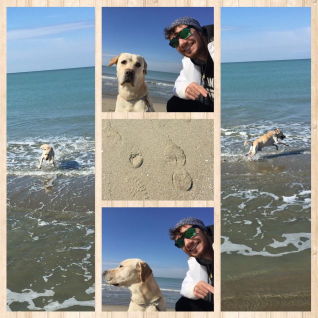 Passeggiata...nel mare!