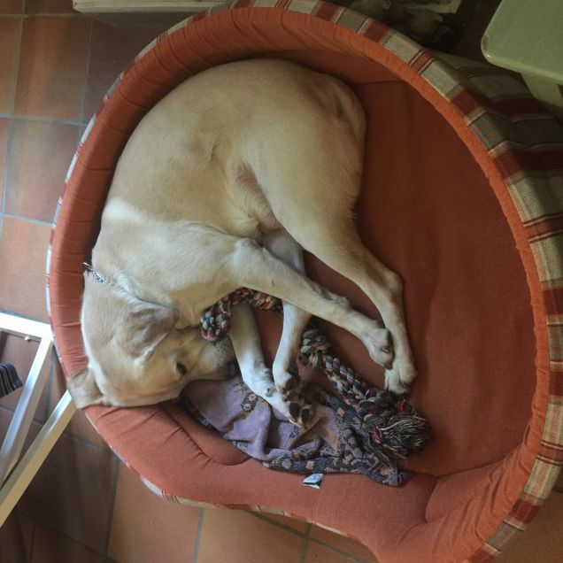 Si ninna con i giochi