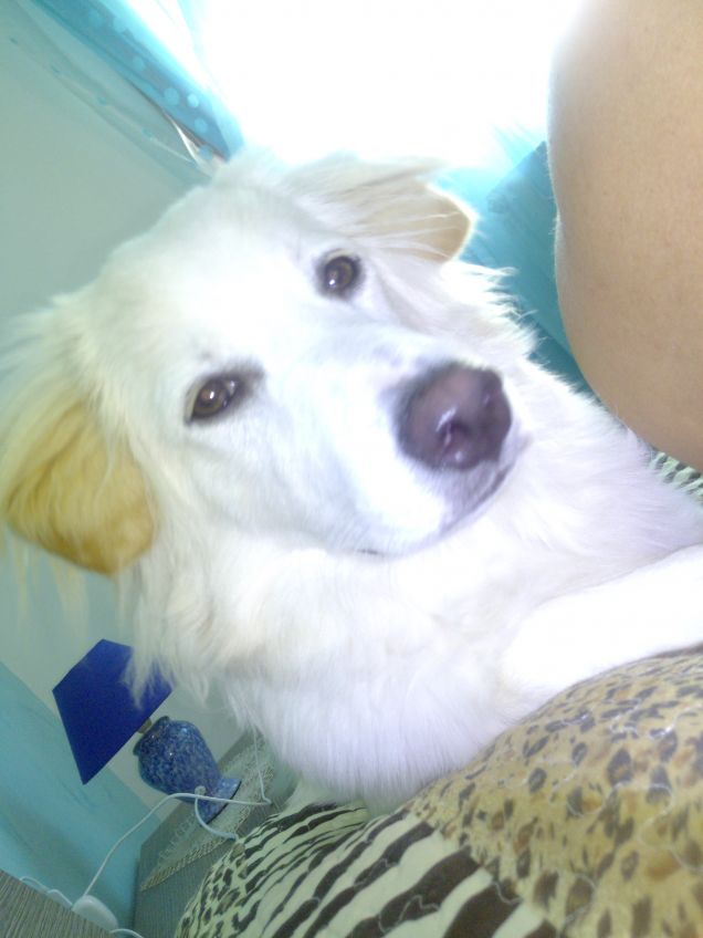 ama guardarti mentre dormi 