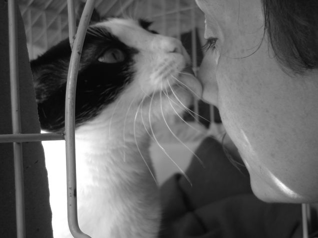 Sara si fa perdonare!