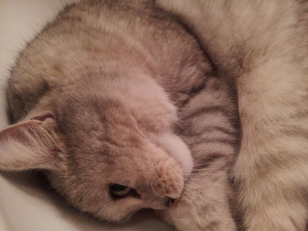 Dormiamo proprio in qualsiasi posto...