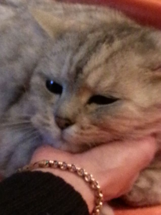 Coccole... da amici...