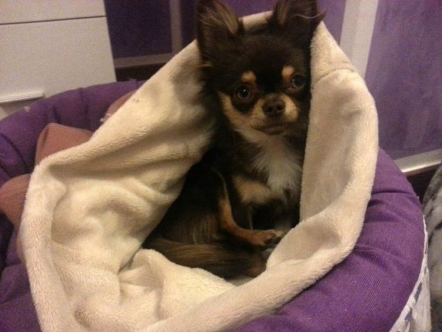 Simon e il sacco nanna