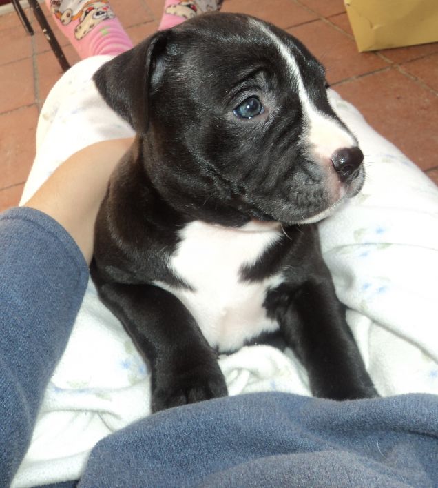 Nora a 1 mese e 5 giorni