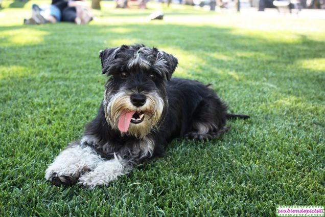 Del meritato relax dopo ore di gioco!