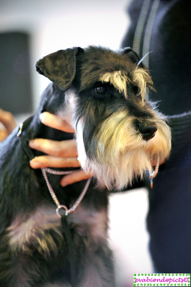 Una giornata speciale...