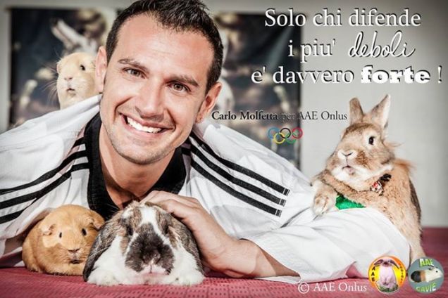 Campagna contro l'abbandono di AAE