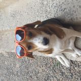 FUJIKO IN TUTTE LE SALSE 