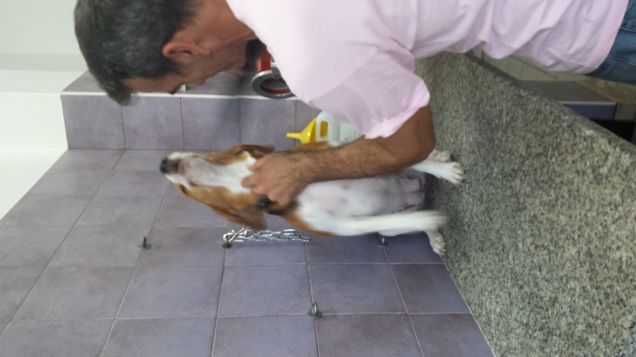 Giornata dal parrucchiere..