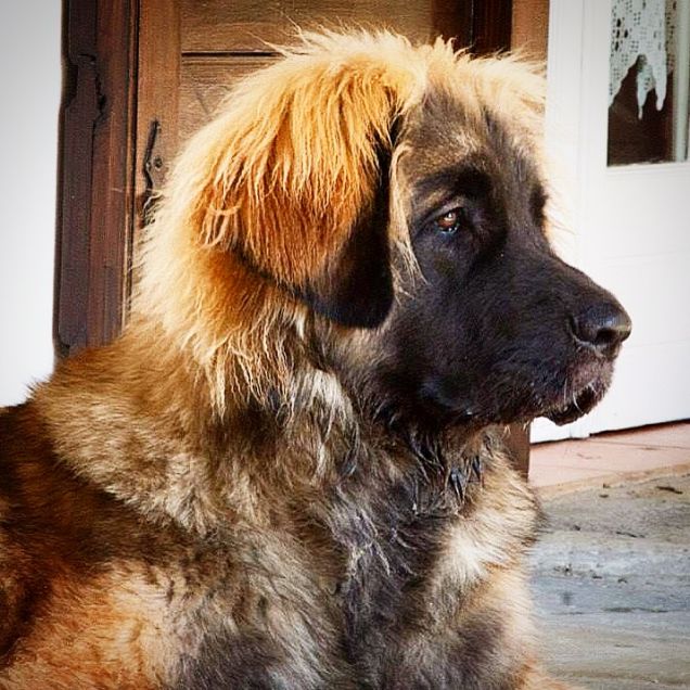 michele mentre finge di fare la guardia!