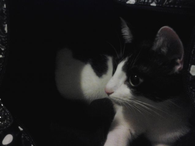 un momento della mia giornata