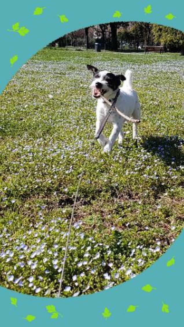 Corro e gioco al parco