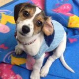 Dream fantastico piccolo GRANDE sogno 