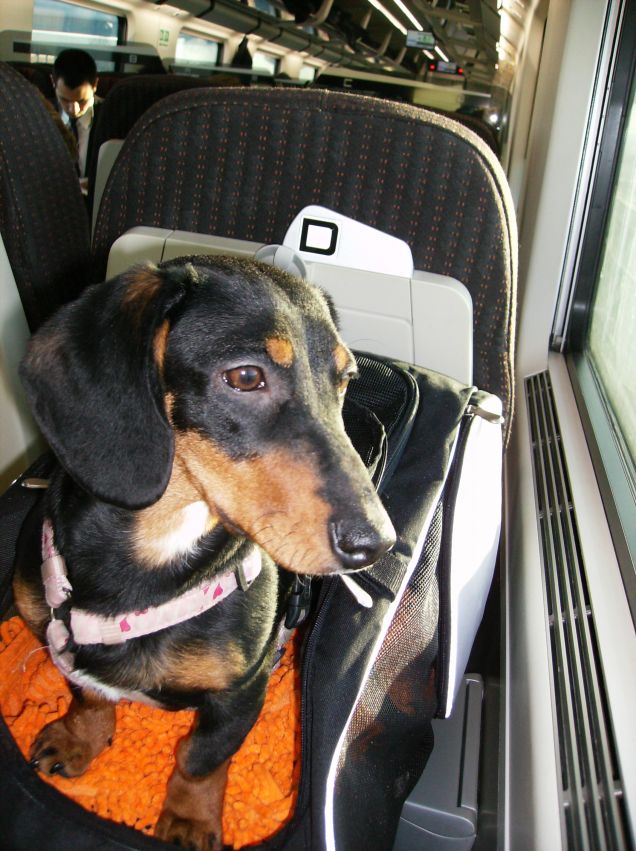 Mi piace viaggiare in treno!