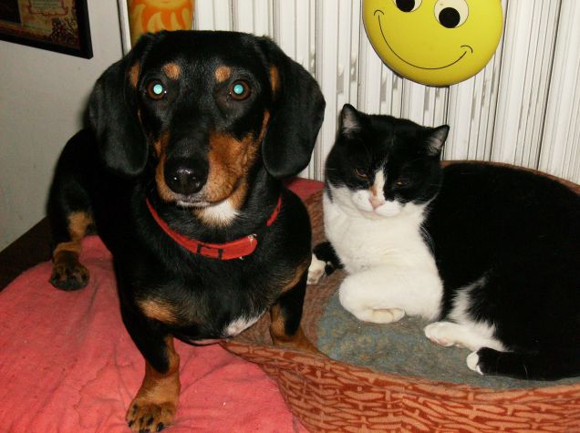 Con Luna sto bene...