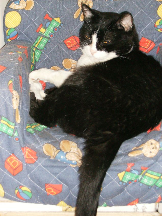 La mia poltrona personale!!!