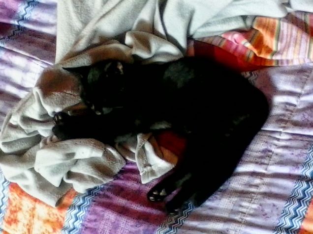 Riposo del guerriero ahahah