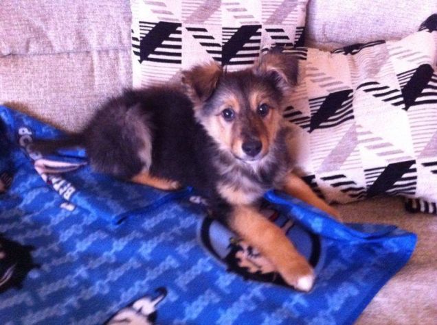 belle a 3 mesi emmezzo