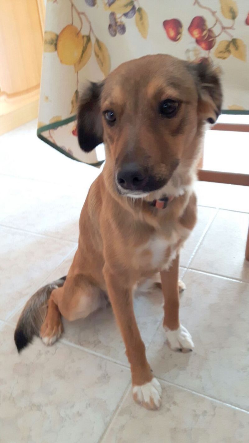 PERLA, TAGLIA PICCOLA