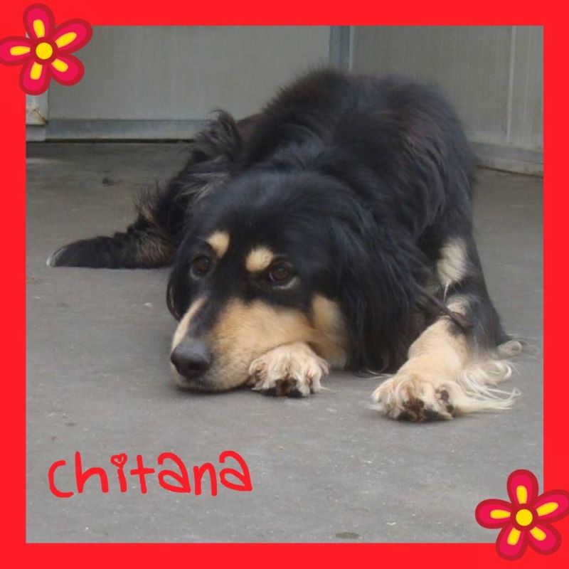 la splendida CHITANA