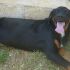 LEXY, MIX SETTERINO
