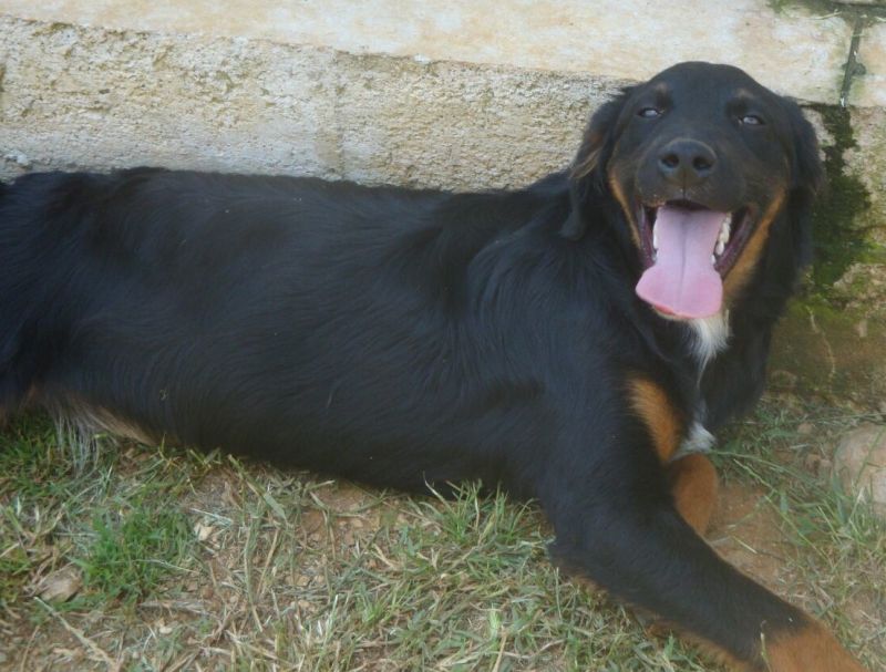 LEXY, MIX SETTERINO