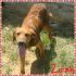 ZIRA, MIX SETTERINA