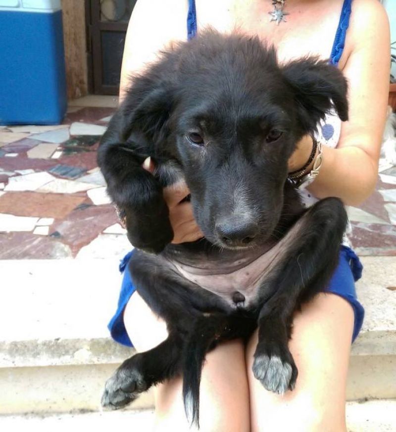 MOTTA, una stellina da amare