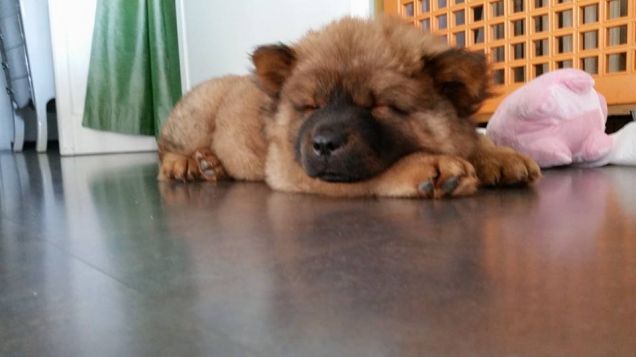 Appena arrivato a casa... agosto 2014