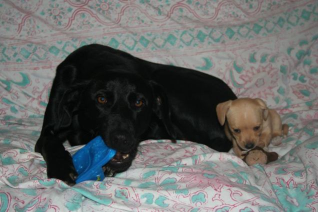 Con la mia sorellina