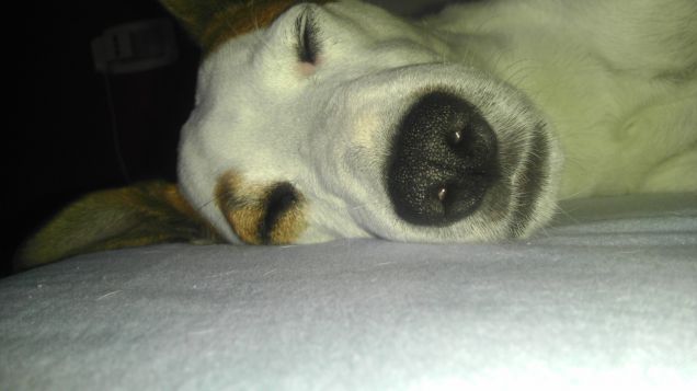 i tartufi più buoni non sono quelli che si mangiano.. ma quelli che si baciano!