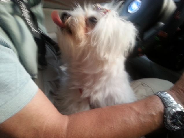 il mio amore x papa'!